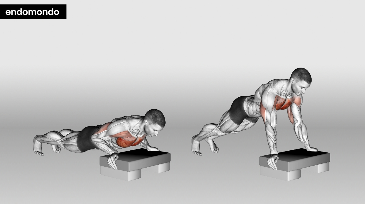 5 Lower Chest Workout Exercises To Build Your Muscles In 2024