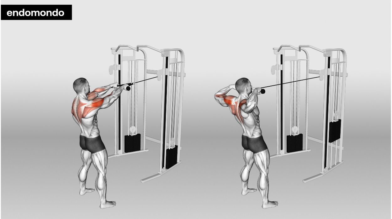 12 Shoulder Workouts For Stability & Strength In 2024