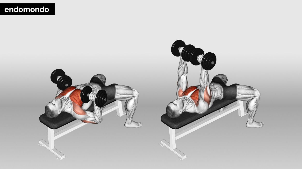 Dumbbell Tricep Kickback - A Complete Guide to Tone & Define the Triceps