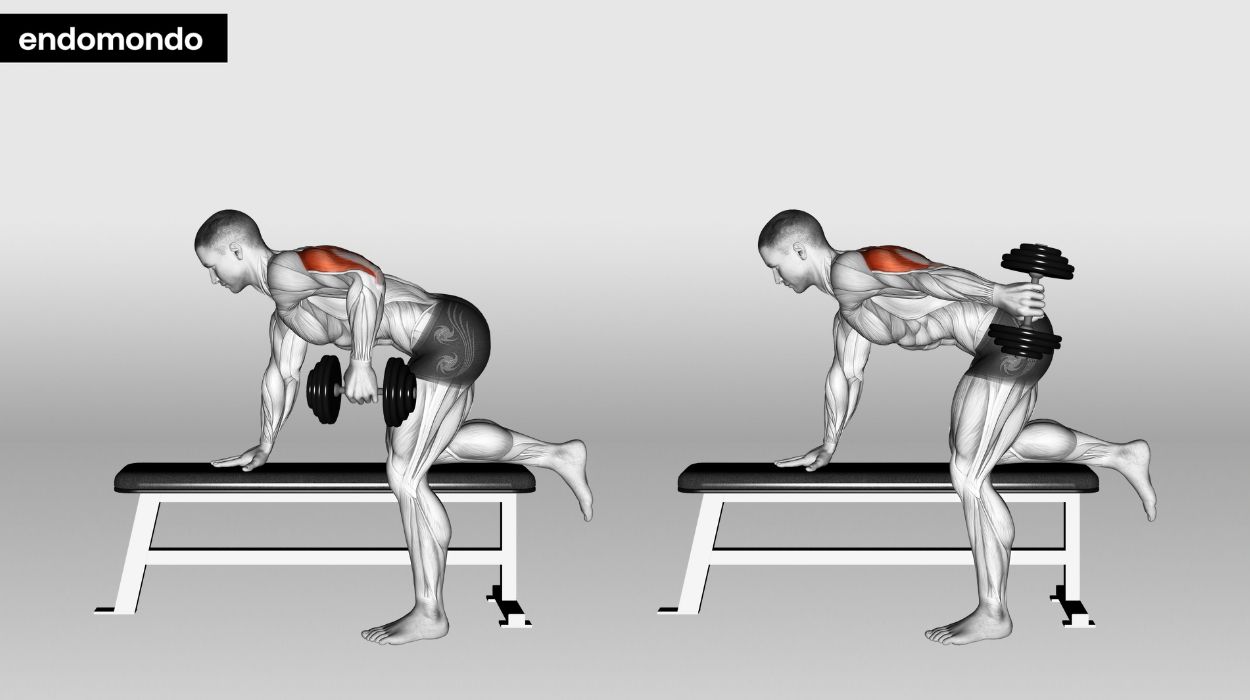 Tricep Dumbbell Exercises For Mass & Strength In 2024
