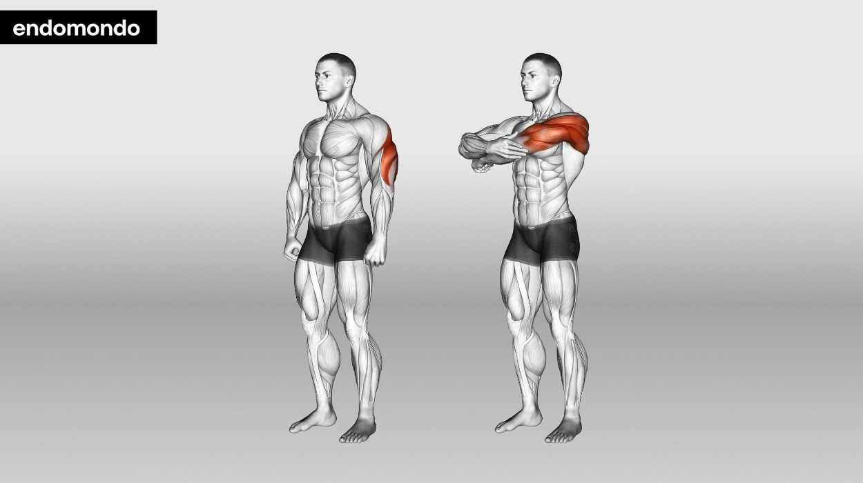 Triceps stretch: MedlinePlus Medical Encyclopedia Image