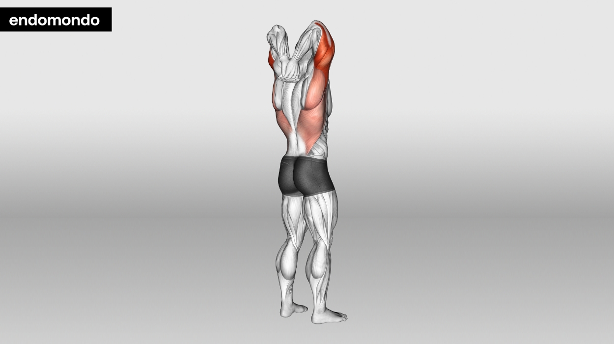 Tricep Stretches: 4 Stretches, Benefits, and More