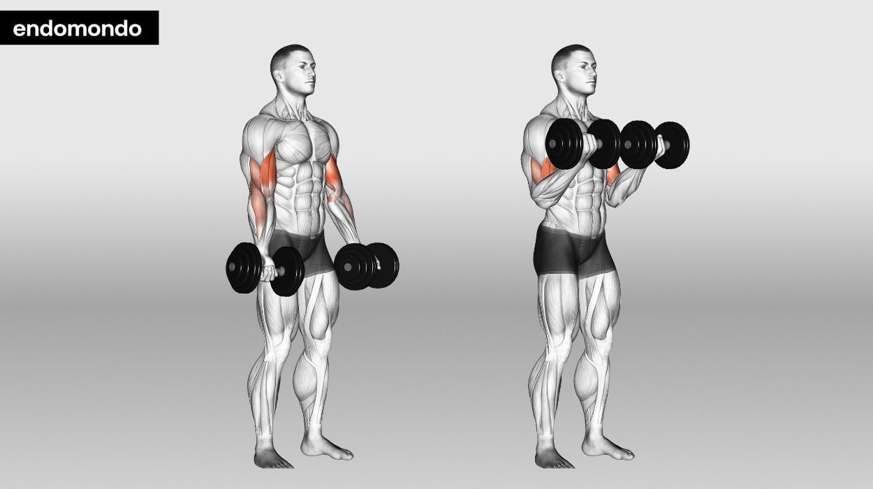 Arms And Shoulders Workout: 10 Best Exercises In 2024