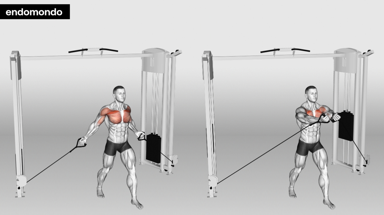 Cable Chest Workout: Best Exercises For Developing Pec 2024