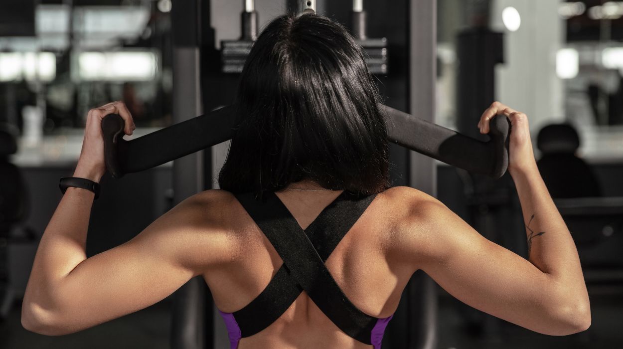 Upper Body Workout For Women at the Gym