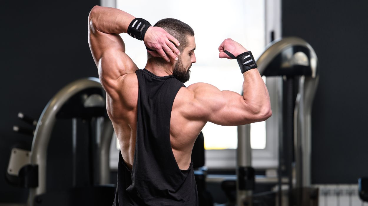 Bicep and Tricep Exercises: ✓ Which are the BEST?